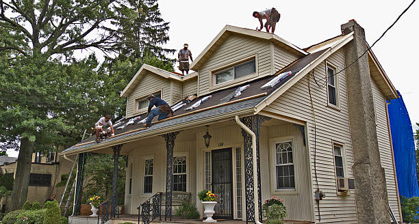Best Gutter Installation and Roofing  in Bangor, MI
